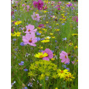 Blumenwiese "Schmetterlinge" 7m²
